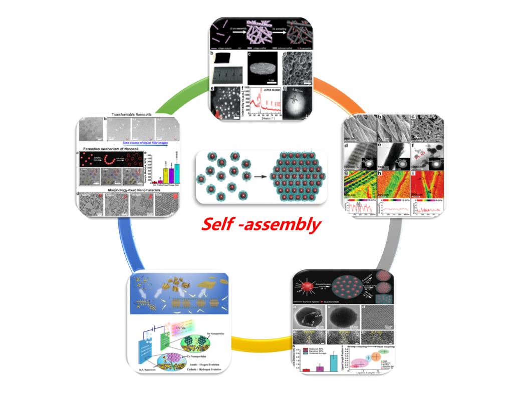 f6f611b9b0624c26826fbd7e0d3e505b.png 5.png