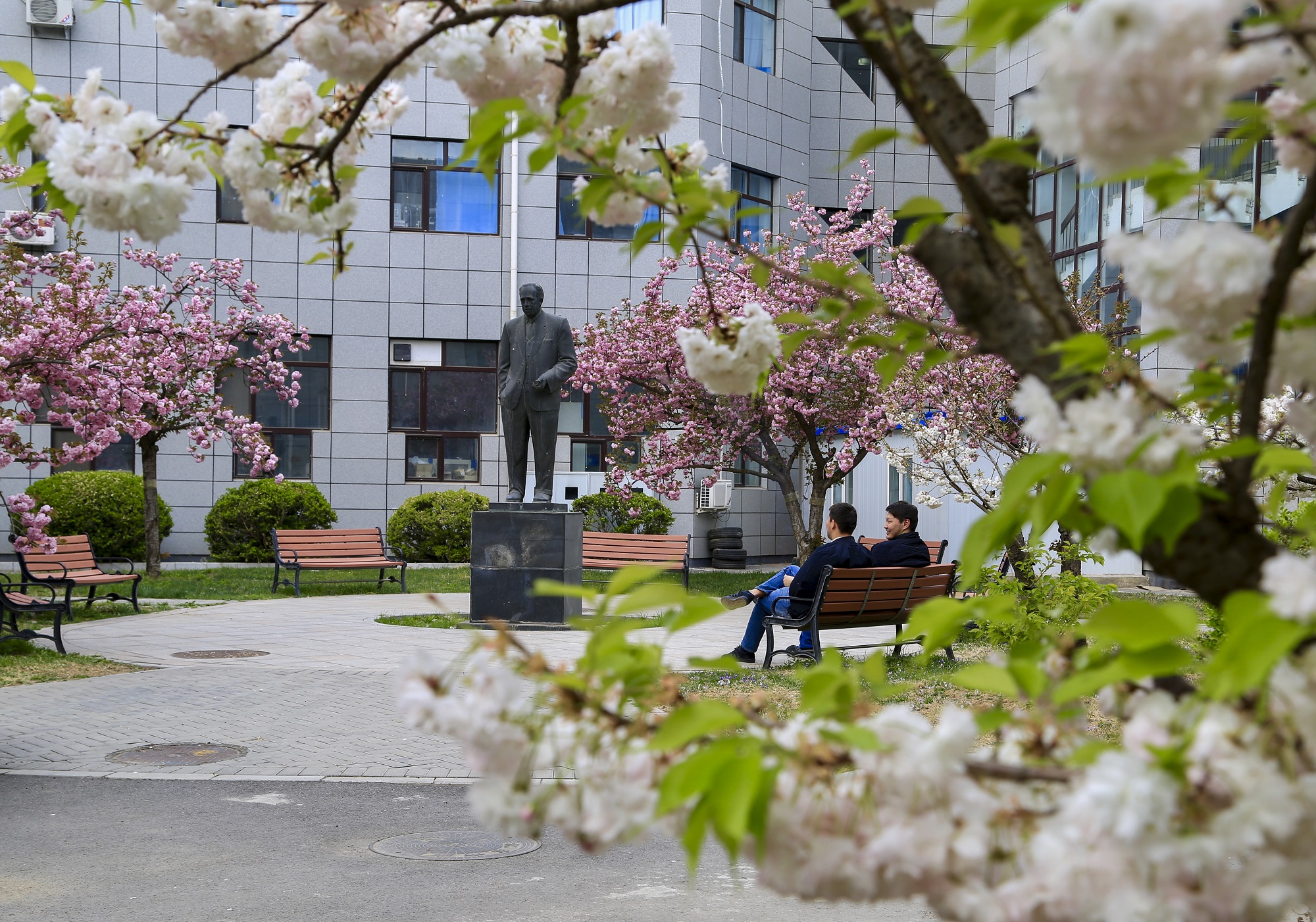 凯时|AG(AsiaGaming)优质运营商