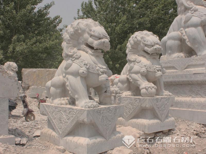 1xBET Signup(中国)-官方网站