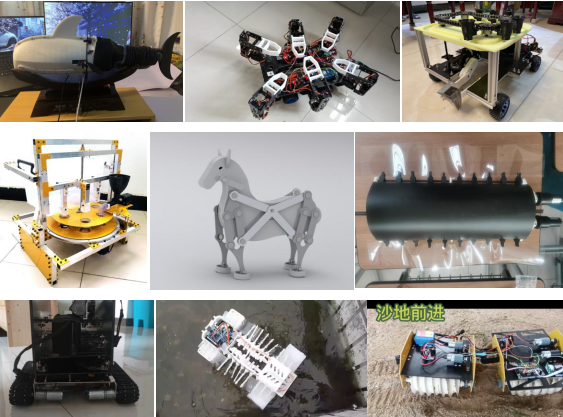 ¿Ê±|AG(AsiaGaming)ÓÅÖÊÔËÓªÉÌ