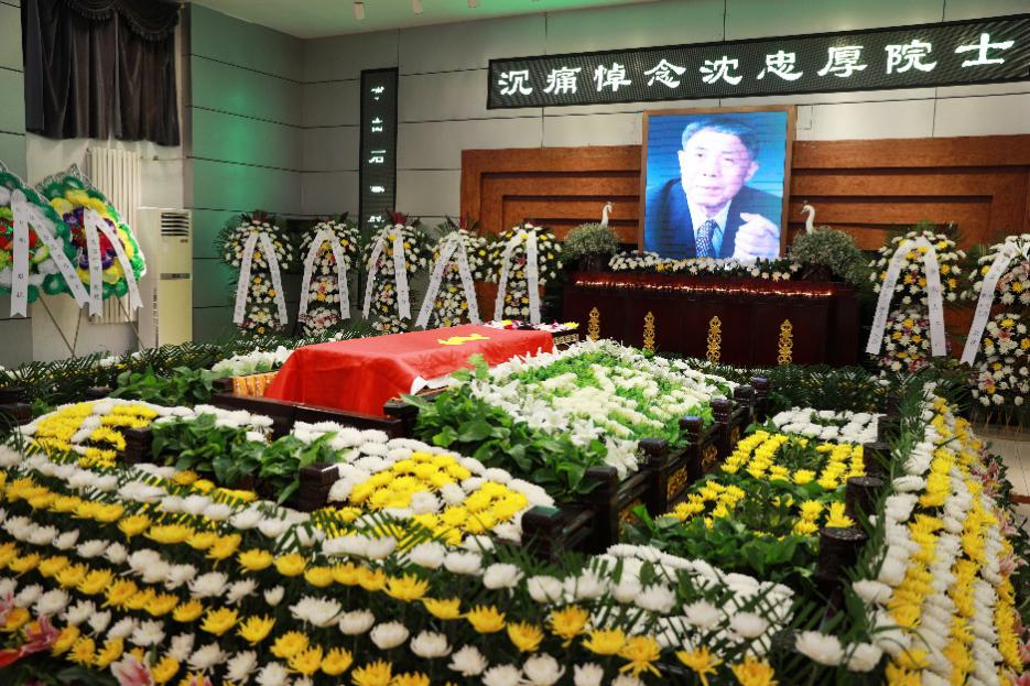 凯时|AG(AsiaGaming)优质运营商