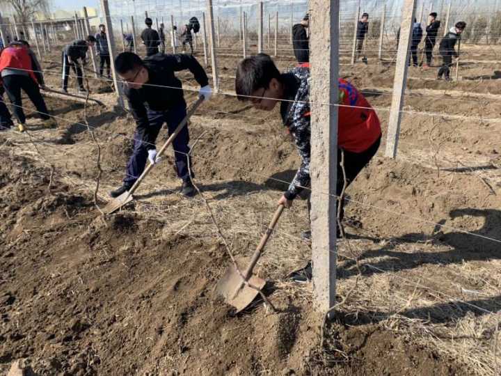 凯时|AG(AsiaGaming)优质运营商