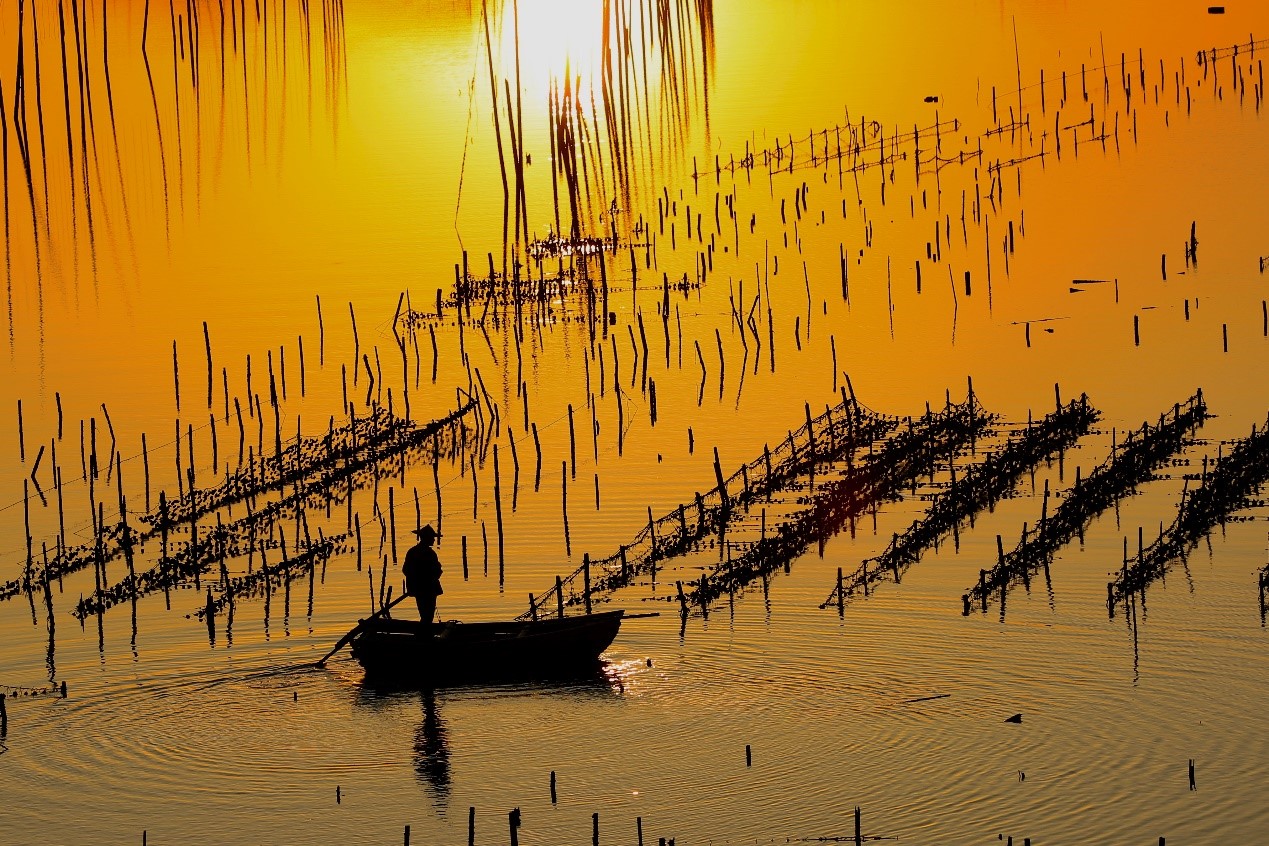 ¿Ê±|AG(AsiaGaming)ÓÅÖÊÔËÓªÉÌ