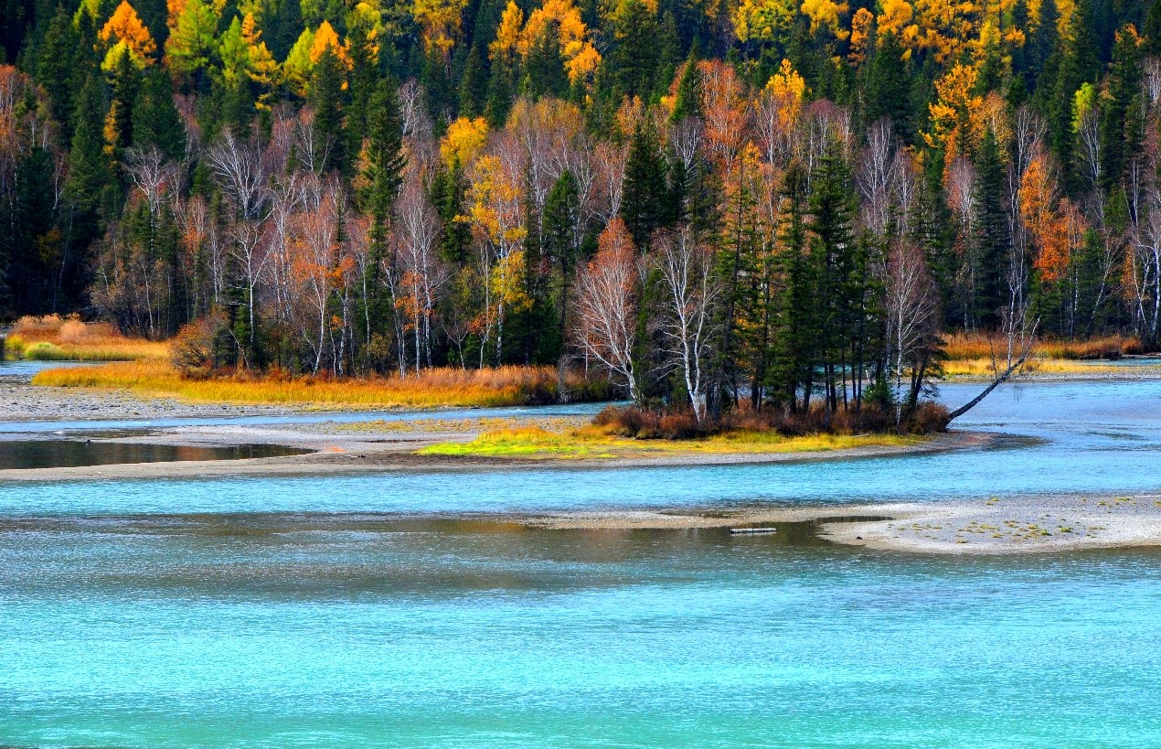 ¿Ê±|AG(AsiaGaming)ÓÅÖÊÔËÓªÉÌ