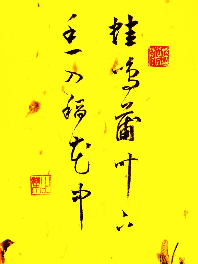 凯时|AG(AsiaGaming)优质运营商